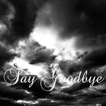 Say Goodbye专辑