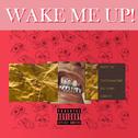 WAKE ME UP专辑