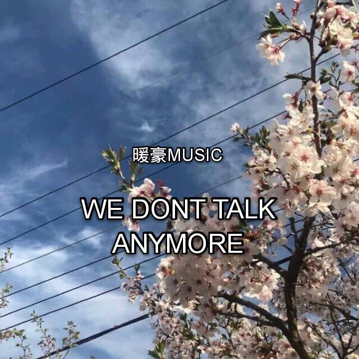 We Dont Talk Anymore