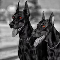 Lmfao - Sexy And I Know It (Kupyd I Know You Want To Edit) Dirty 129