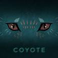 Coyote