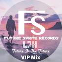 Future In The Future(VIP Mix)专辑