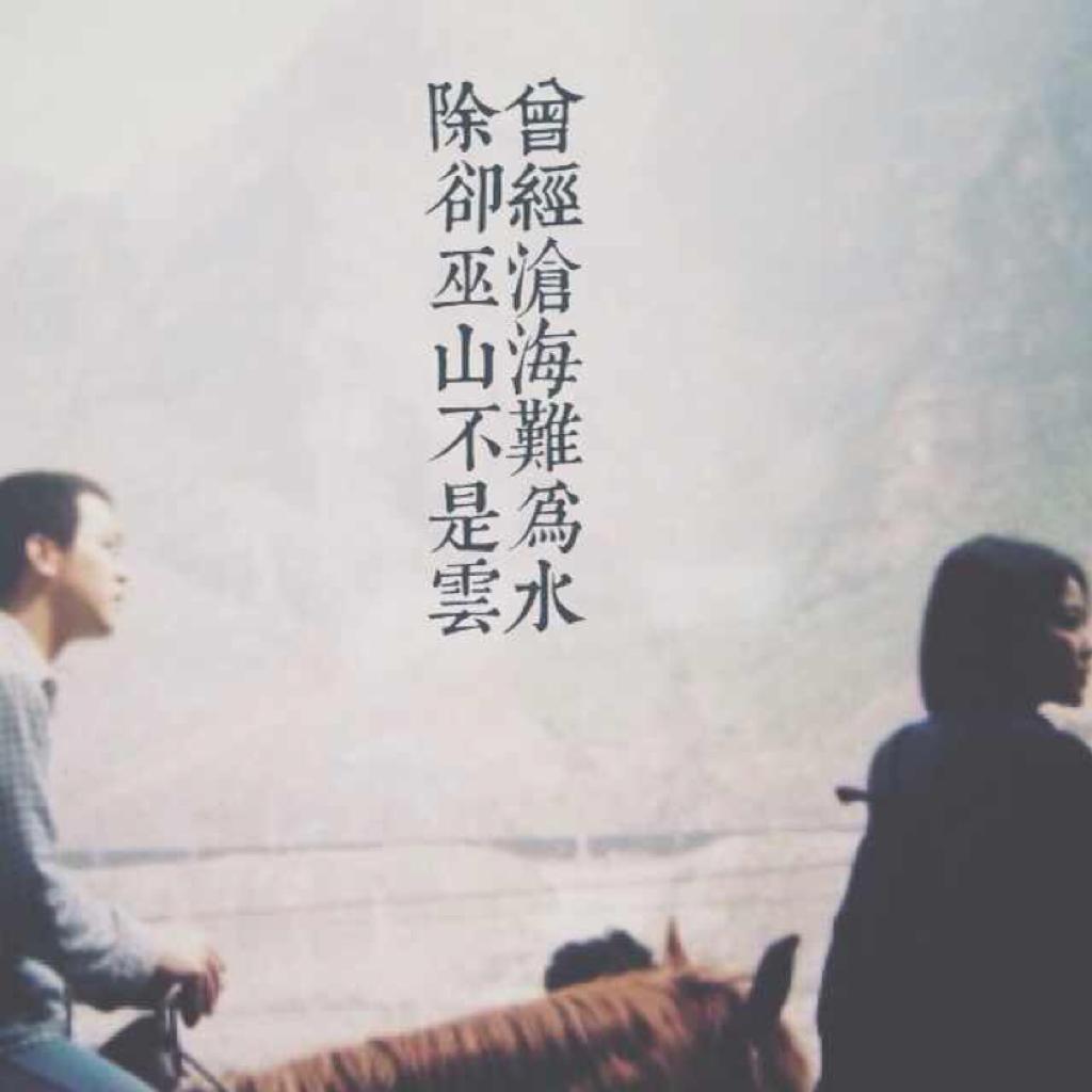 王菲窦唯的爱情。