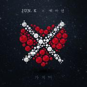 가지마