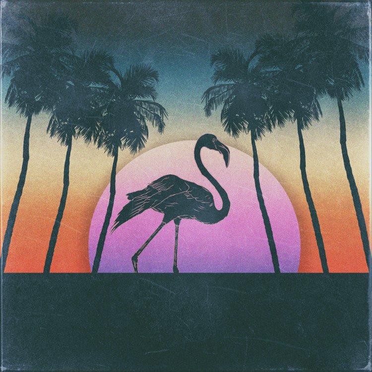v l o g 音乐