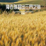 俺老孙超出三界之外