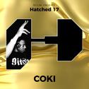 Hatched 17专辑