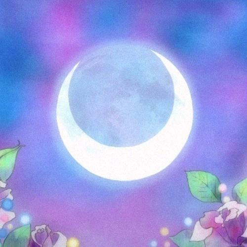 Fly Me To The Moon (TARA Edit)专辑