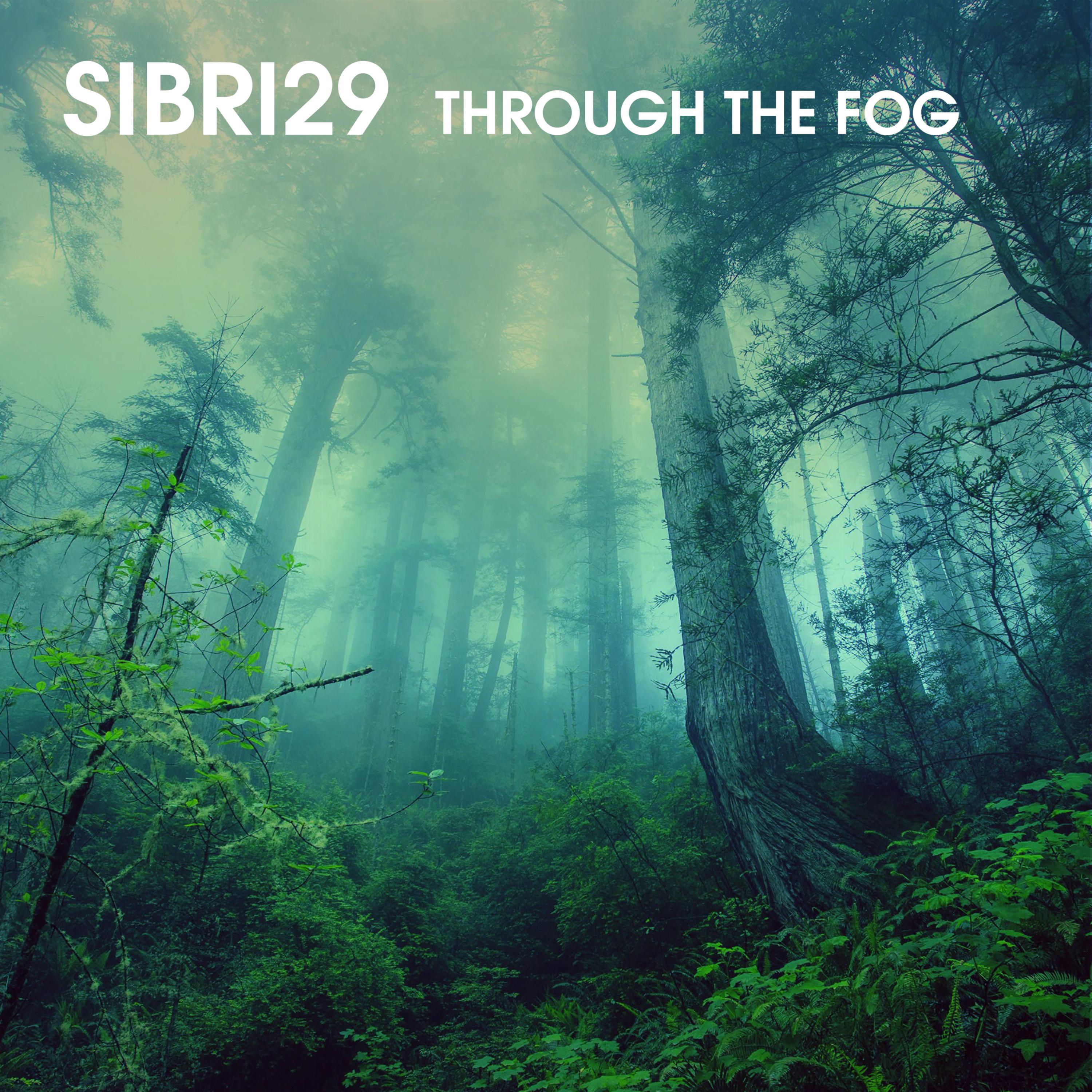 Sibri29 - Behind Lines