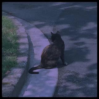 孤独废墟°住进黑塞那充满迷雾的梦里