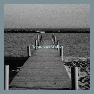 Tennessee Waltz - Patti Page (PT Instrumental) 无和声伴奏