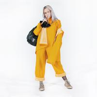 Billie Eilish - bellyache (Official Instrumental) 原版无和声伴奏