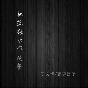 朴惠子 - 把孤独当作晚餐(伴奏) （升1半音）