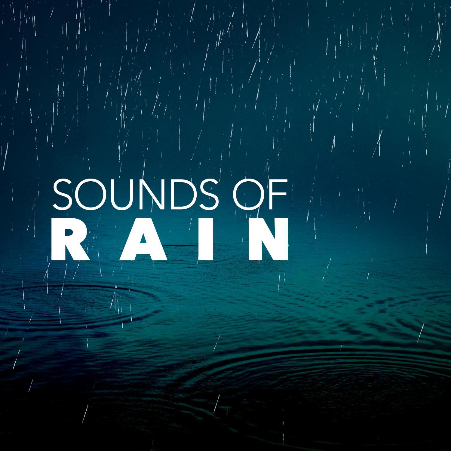 Sounds of Rain专辑