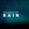 Sounds of Rain