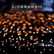 DJ何鹏舞曲精选集48