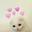 啾柒Cooky