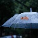 下雨了，给雨后书店加一些戏