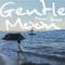 Gentle moon专辑