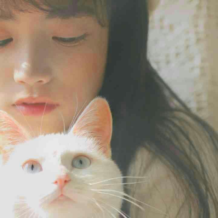 〖韩〗慵懒的午后 我抱着猫咪睡着了