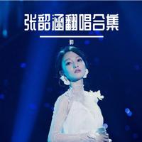 张韶涵 - 其实很爱你(原版立体声伴奏)