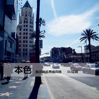 车载中文DJ，酒吧DJ，伤感咚鼓叮咚版。