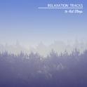 22 Relaxation Tracks to Aid Sleep专辑