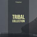 Tribal Collection专辑