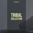 Tribal Collection专辑