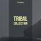 Tribal Collection专辑