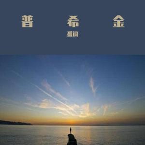 潘虹-普希金(中国好声音2020) 伴奏