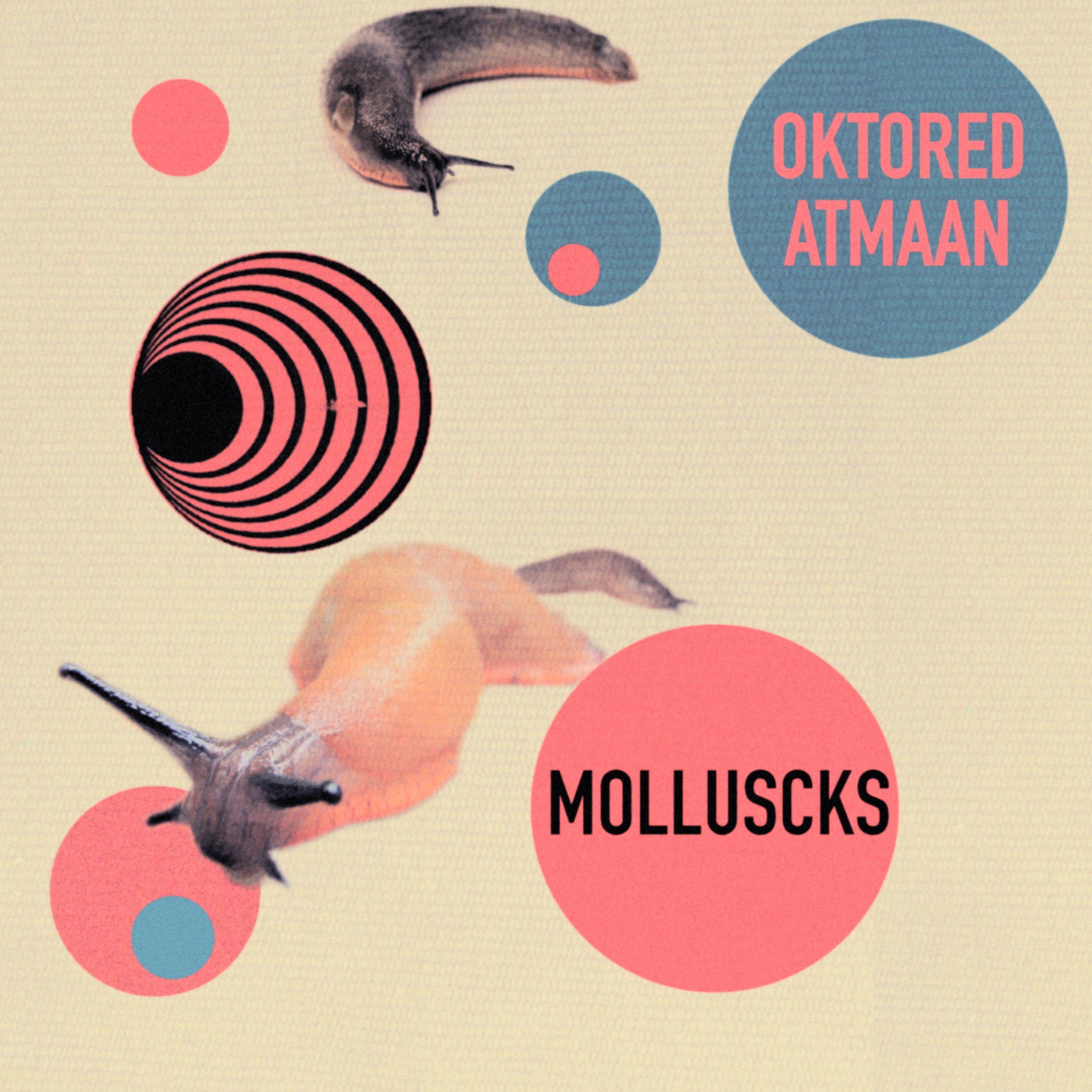 Molluscks