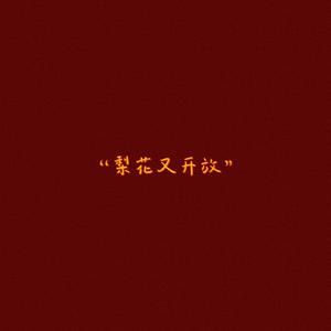 王紫菲 - 梨花又开放(伴奏) 制作版 （升5半音）