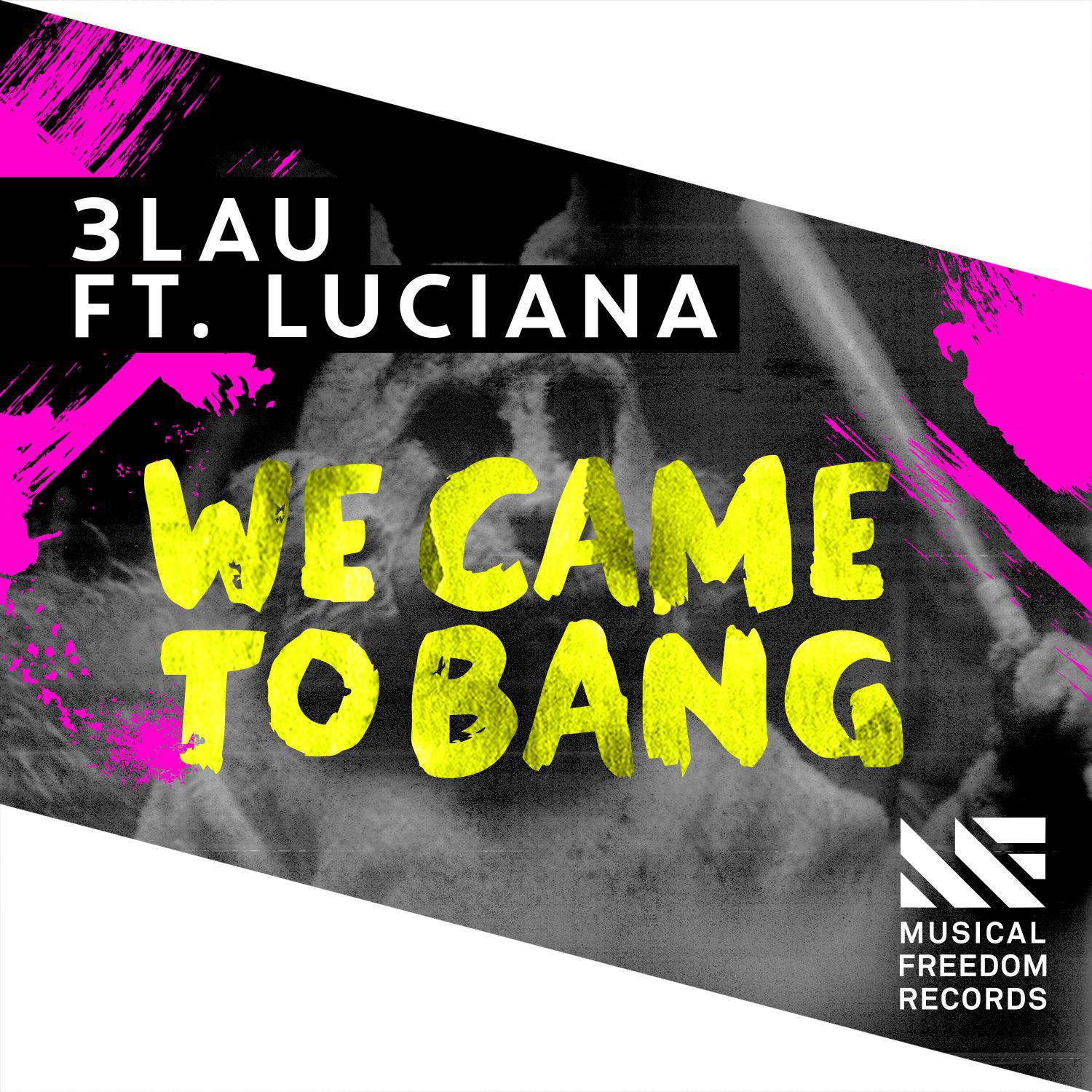 We Came To Bang (feat. Luciana) [Radio Edit]专辑