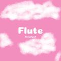 Flute (Newsoul)