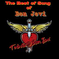 『伴奏』Bon Jovi - All About Loving You（Karaoke和声版）