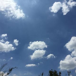 2020届中考音乐（全）