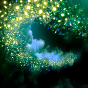 Fireflies