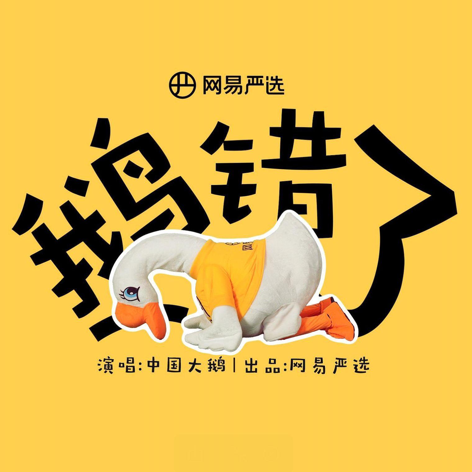 鹅错了