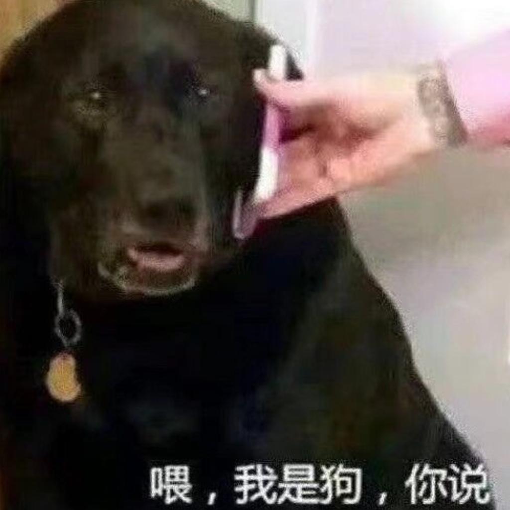 欢迎来到土狗联盟！