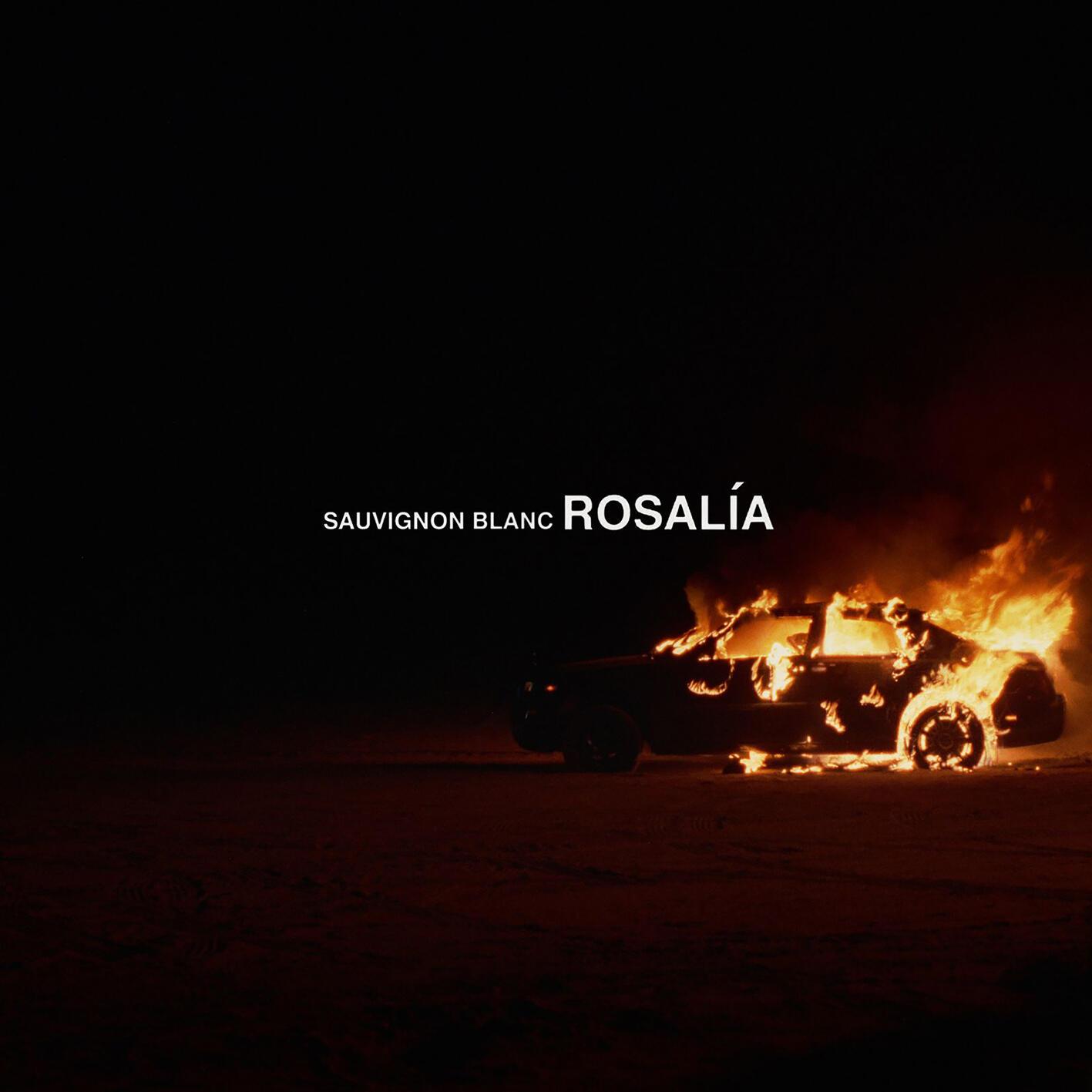 Sauvignon Blanc (Instrumental)