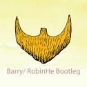 Your Skin (Barry/ RobinHe Bootleg)专辑