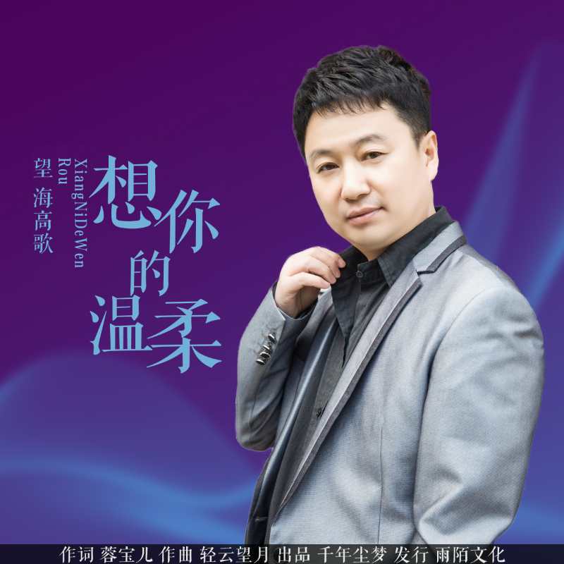 想你的温柔