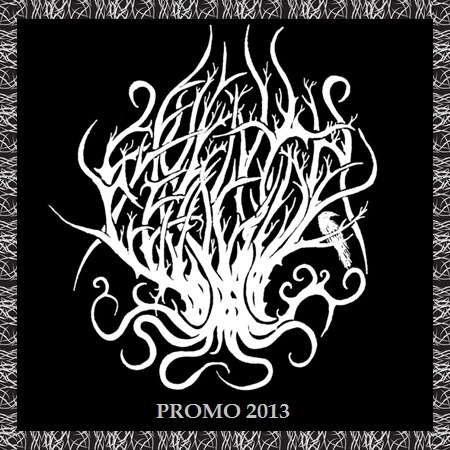 Promo 2013