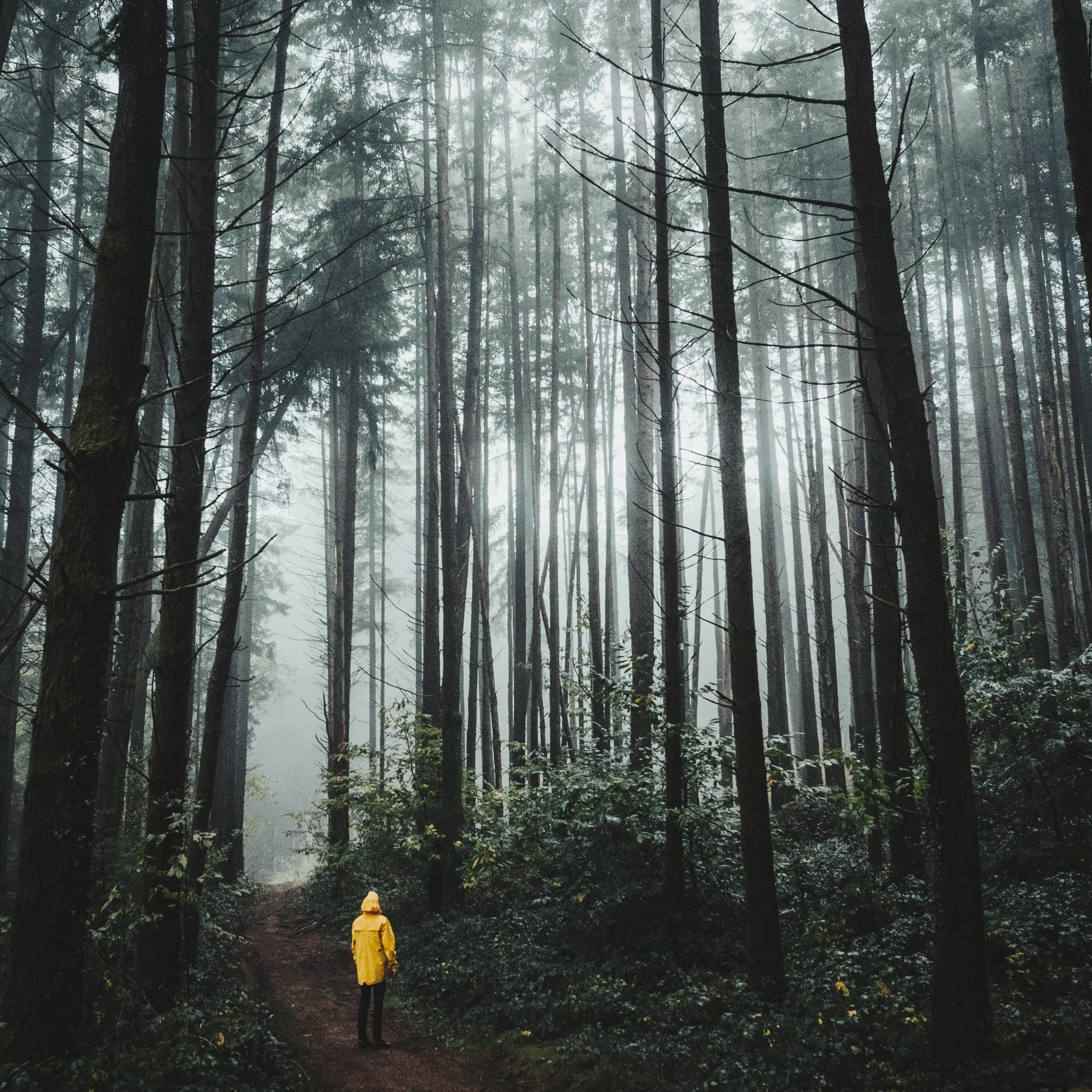 Ambient Meditation & Relaxation