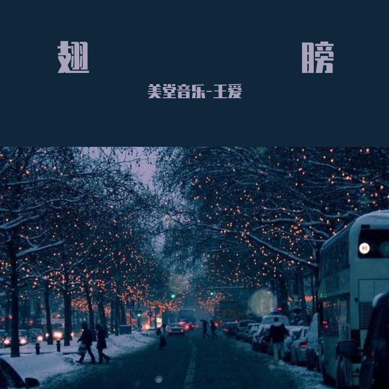 受伤的翅膀