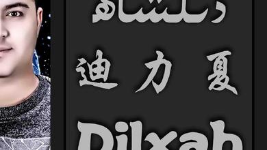 迪力夏-Dilxah