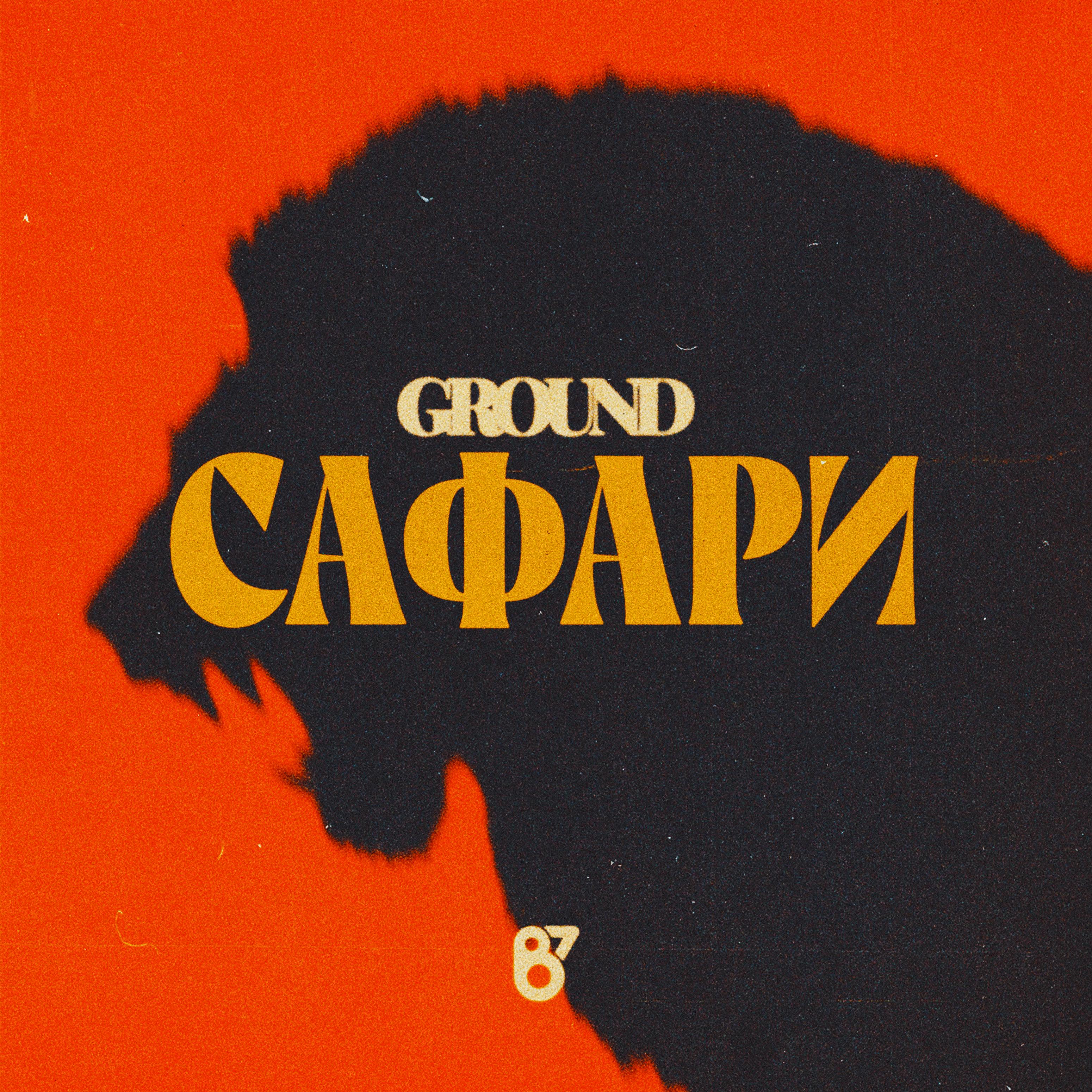 Сафари