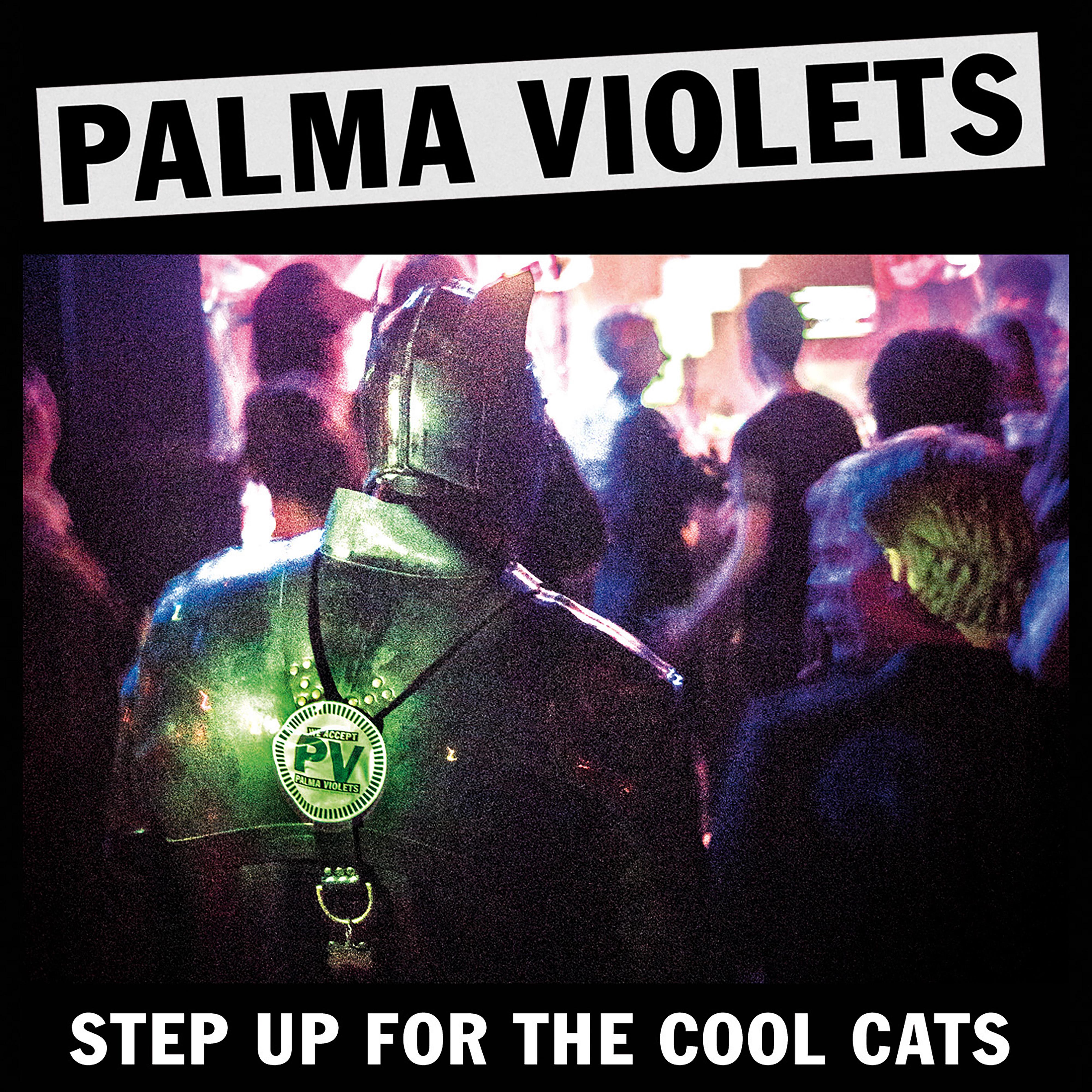 Step Up for the Cool Cats
