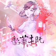 韶华未既